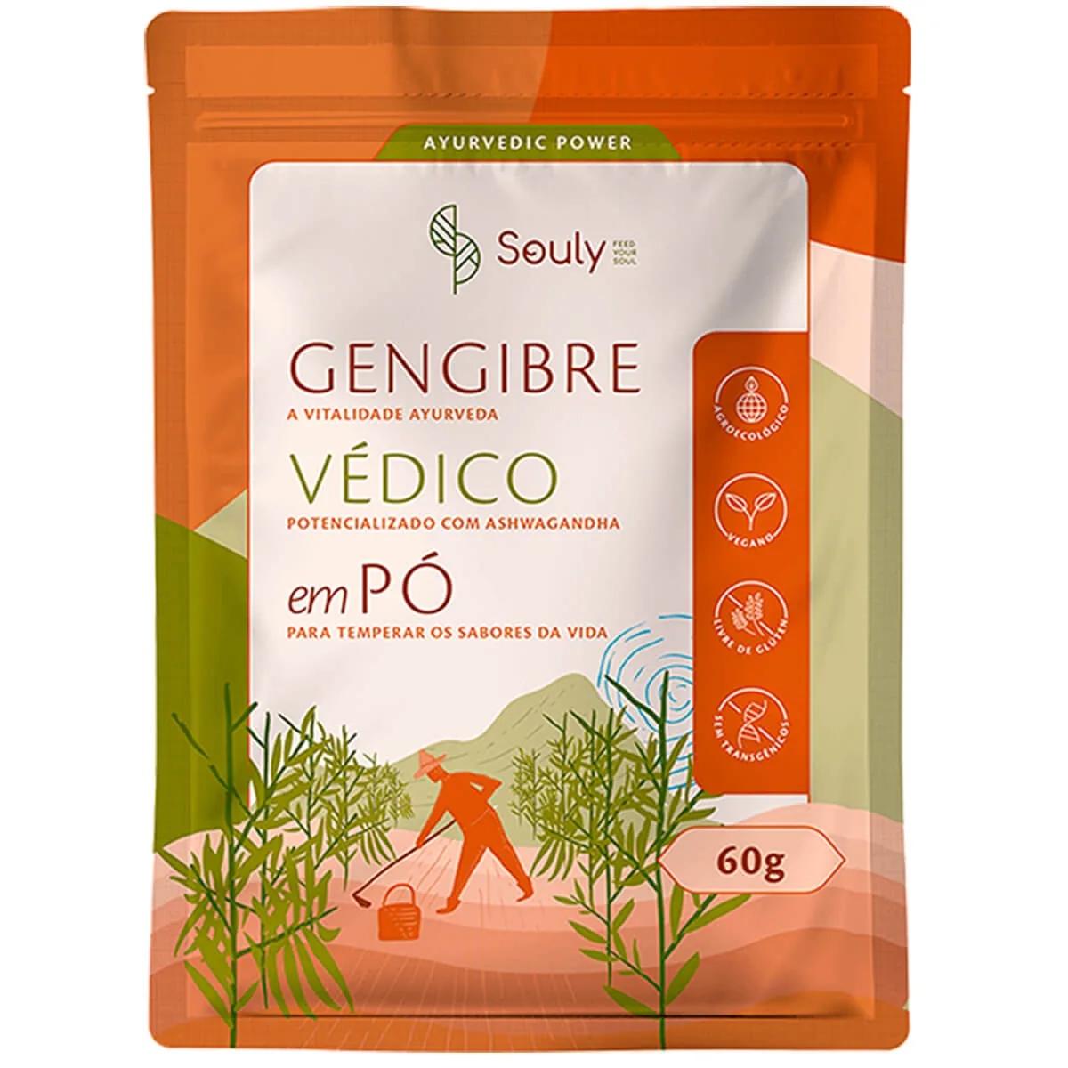 gengibre vedico em po 60g souly